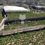 DJI 20250507115525 0035 D