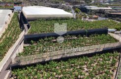 DJI 20250507115525 0035 D