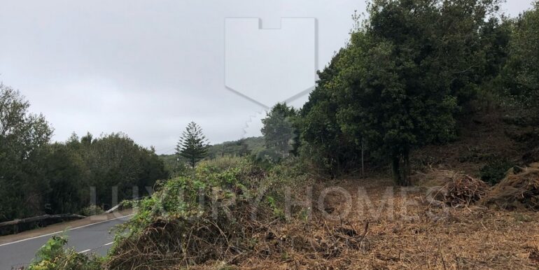 Imagen de WhatsApp 2025-04-16 a las 10.45.33_560b21fe