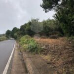 Imagen de WhatsApp 2025 04 16 a las 10.45.33 76baf49d Imagen de WhatsApp 2025 04 16 a las 10.45.33 76baf49d