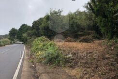 Imagen de WhatsApp 2025 04 16 a las 10.45.33 76baf49d