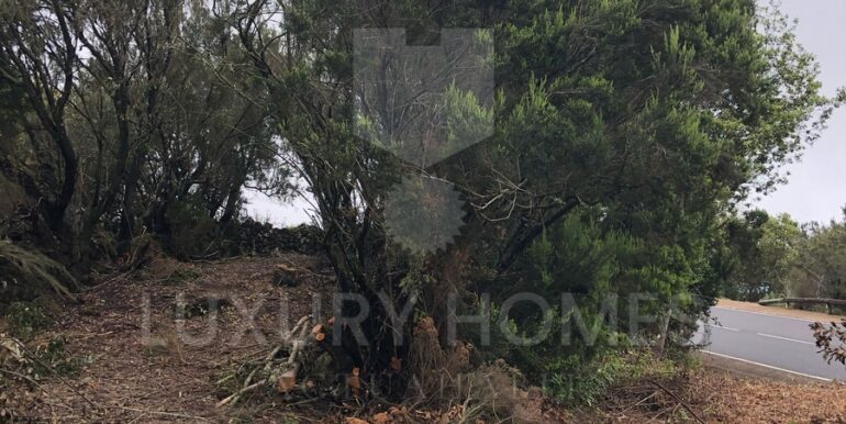 Imagen de WhatsApp 2025-04-16 a las 10.45.34_11cc6c08