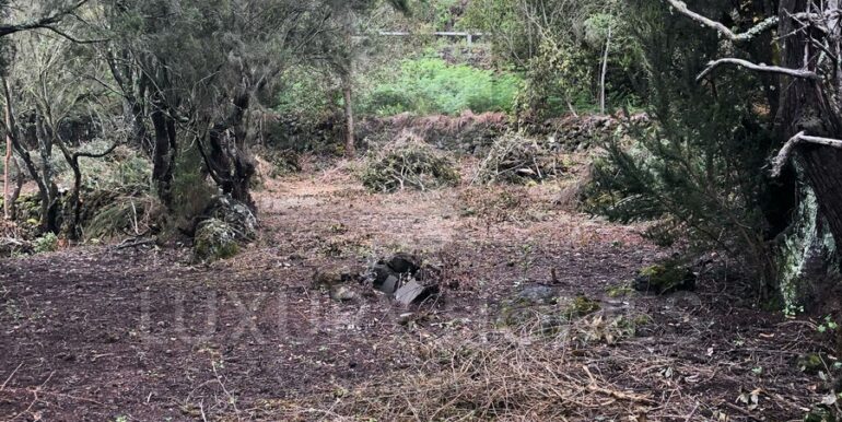 Imagen de WhatsApp 2025-04-16 a las 10.45.38_4b54c16f