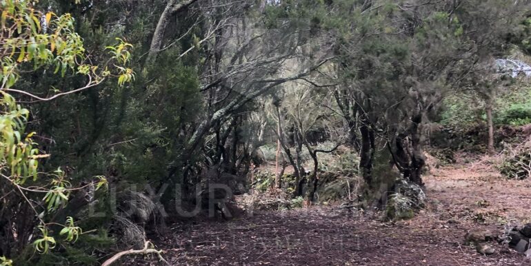 Imagen de WhatsApp 2025-04-16 a las 10.45.39_f45f7030