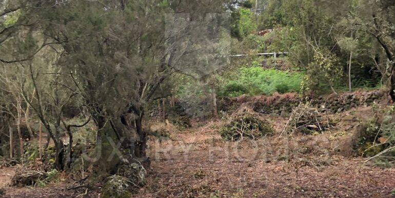 Imagen de WhatsApp 2025-04-16 a las 10.45.40_dfbab99b