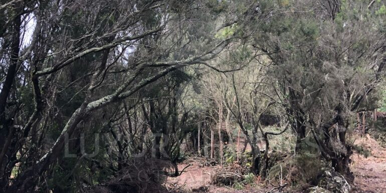 Imagen de WhatsApp 2025-04-16 a las 10.45.41_8cb37dca