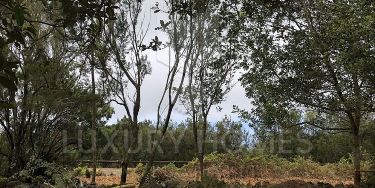 Imagen de WhatsApp 2025-04-16 a las 10.45.43_11e6a7ca