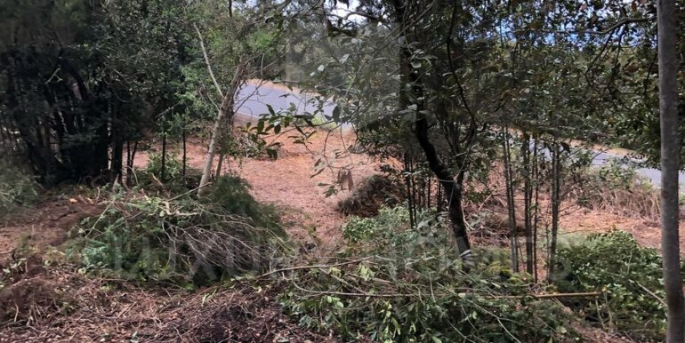 Imagen de WhatsApp 2025-04-16 a las 10.45.45_eafb3462