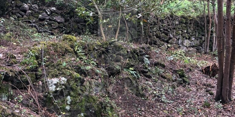 Imagen de WhatsApp 2025-04-16 a las 10.45.47_d57a7286