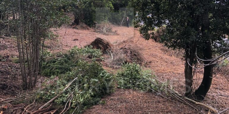 Imagen de WhatsApp 2025-04-16 a las 10.45.51_d2de657c