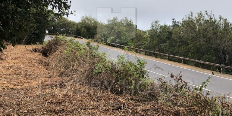 Imagen de WhatsApp 2025-04-16 a las 10.45.52_3e816cc9