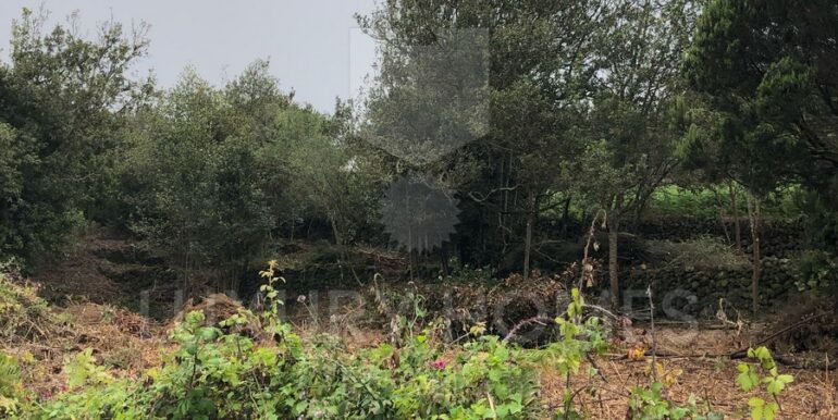 Imagen de WhatsApp 2025-04-16 a las 10.45.53_e050f278