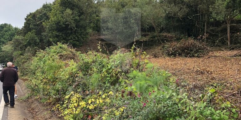 Imagen de WhatsApp 2025-04-16 a las 10.45.54_d35c7d34